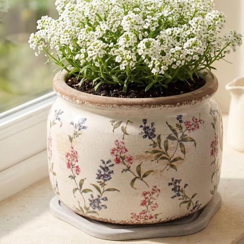 French Country Ceramic Plant Pot with Decorative Saucer, Plant Lover Gifts - Image 2