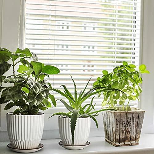 D'vine Dev 2-Pack Stoneware Planter Pots, 4.5/5.8 in, Ivory, 99-D-1 - Image 5