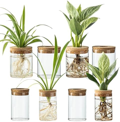 Glass Plant Propagation Stations for Plants – Set of 8(4 Large & 4 Small) Hydroponic Vases for Plant Cuttings,Flower Arrangements, Home & Office Decor–Desktop Vases for Living Room, Bedroom (8) by wangsdjy