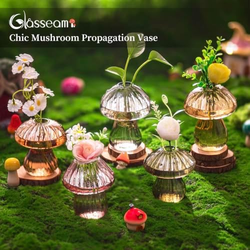 Glasseam 5 Pcs Mushroom Propagation Station: Glass Terrarium Jar for Plants - Image 3