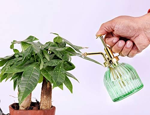 Glass Plant Mister Spray Bottle, 6.5" Green Glass Water Spray Bottle with Gold Top Pump Small Watering Can, Small Plant Sprayer Mister for Indoor Outdoor House (Green+Gold A) - Image 5