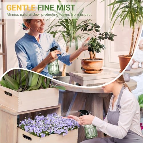 Glass Plant Mister Bottle - 13.5 oz Refillable Leak Proof Water Spray Bottle for Indoor Plants, Spring Gardening,Cleaning, Hair, Pets Care with Adjustable Mist Nozzle (Green) - Image 5