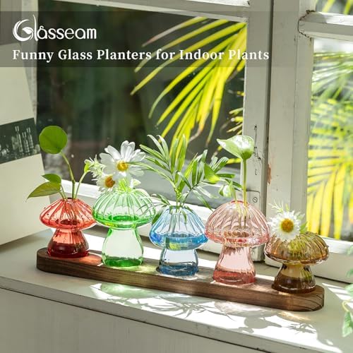 Glasseam Mushroom Glass Plant Propagation Station with Wooden Stand 5Pcs - Image 3