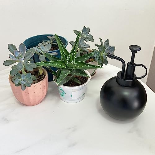 Stainless Steel Plant Sprayer, Small Watering Can, Modern Gardening Tool for Indoor Potted Plants - Image 4