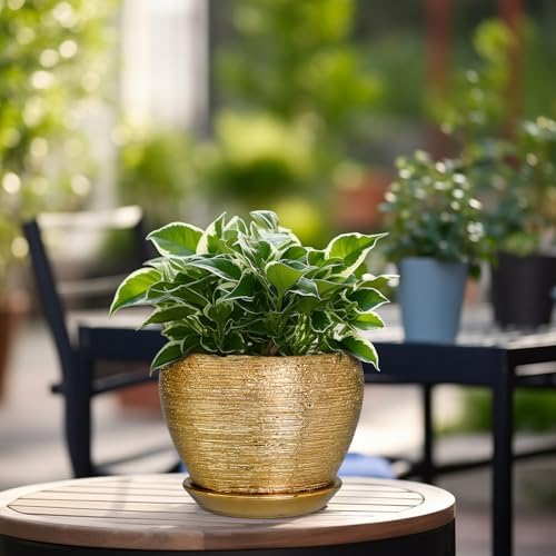 Ceramicfor Indoor Plant Pot 6 Inch - Ceramic Pot for Plants Outdoor Planter with Drainage Hole and Saucer Round Decorative Planter Modern Flower Pot for Home Decor Gold - Image 4