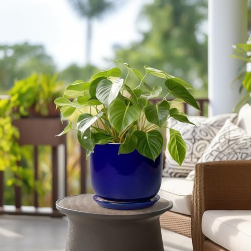 8 Inch Ceramic Plant Pot - Decorative Round Planter for Indoor Plants with Drainage Hole and Saucer, Home House Room Office Garden Decor, Blue - Image 4