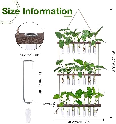 XXXFLOWER Wall Hanging Propagation Station with Wooden Stand - Image 2