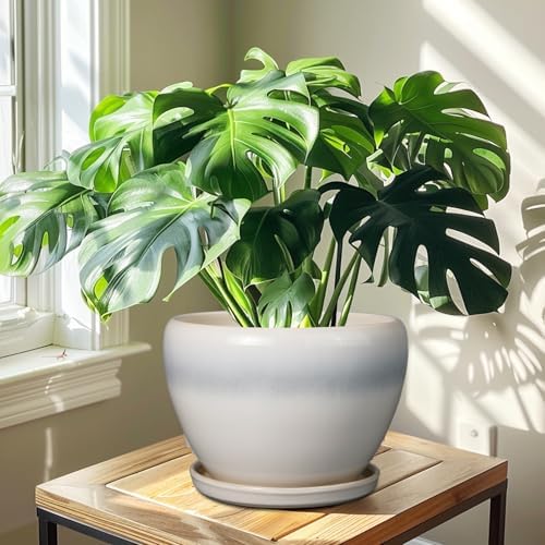 Ceramicfor 10 Inch Ceramic Planter Pot, Cream White - Image 7