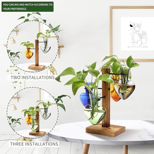 Plant Terrarium Propagation Stations with Wooden Stand - Image 4