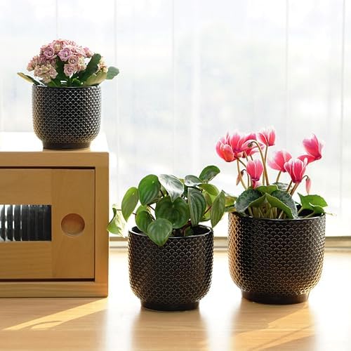 4 + 5 + 6 Inch Ceramic Pots for Indoor Plants, Succulents Plant Pots, Orchid Flower Pot with Drainage Hole, Modern Clay Stoneware Planters, Set of 3 (Black, 4+5+6 Inch) - Image 4