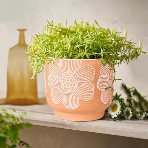 Ceramic Plant Pots, 8+6 Inch, 2 Pcs Indoor Planters with Drainage Holes - Image 4