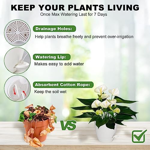 5/6/5.5/5 Inch 7/6.Self Watering Pots for Indoor/Outdoor Plants, 5 Pack - Image 3