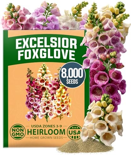 HOME GROWN Foxglove Excelsior Mix 8000 Flower Seeds Digitalis purpurea by HOMEGROWN