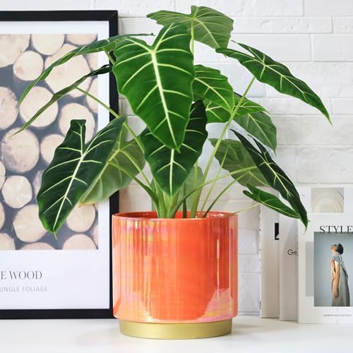 Gepege Peach Indoor Plant Pots for Plants, Large Ceramic Planter with Drainage Hole, 9.6-inch Succulent Orchid Flower Pot - Rainbow Pearl Glaze - Image 6