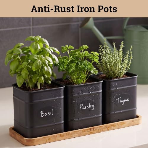 Herb Planter Indoor, 3-pc Herb Pots w/ Drainage Holes, Bamboo Tray & Labels - Image 3