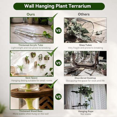 Artilady Plant Propagation Station Wall Hanging, Wood Arch Terrariums Tube - Image 3