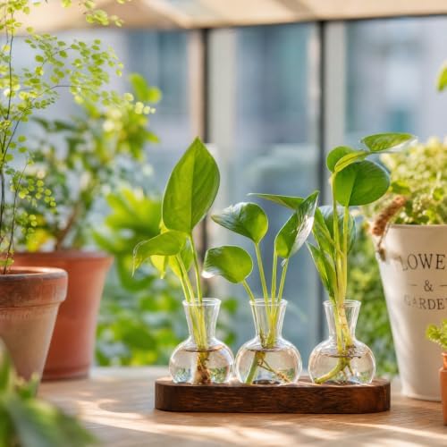 Plant Propagation Station with Wooden Stand, 3 Bulbs - Image 2