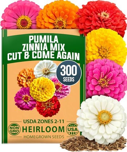 HOME GROWN Zinnia Seeds, Pumila Mix, 300 Seeds, Zinnia elegans by HOMEGROWN