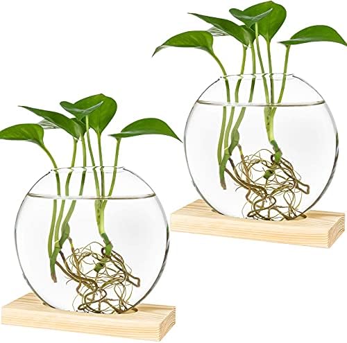 Kingbuy Round Glass Desktop Planter with Wooden Stand - Propagation Vase for Hydroponic Plants, Spider Plants, Pothos in Home Office Decor, 2-Pack, Beige by Kingbuy