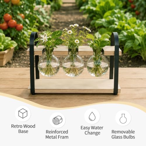 3-Bulb Plant Propagation Station, Glass Vase Terrarium, Retro White - Image 5