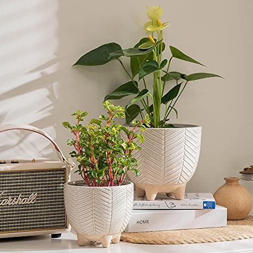 LA JOLIE MUSE Ceramic Plant Pots, Flower Pots for Indoor Plants, Set of 2 - Image 2