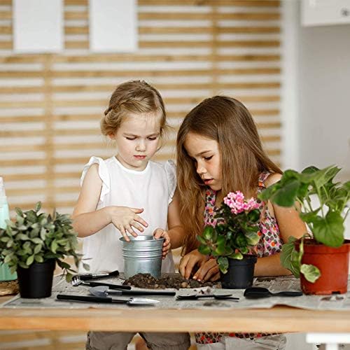 Succulent Tools, 13 Pcs Mini Garden Tool Set, Transplanting Tools Set,Succulent Care kit for Succulent Miniature Gardening Plant, Black - Image 6