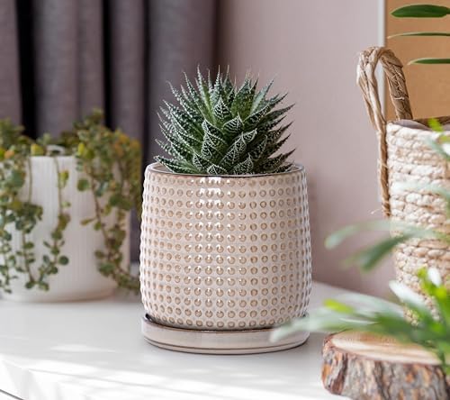 D'vine Dev Beaded Ceramic Pot with Saucer, 4 in, Light Brown, 27-C-Z-4 - Image 2