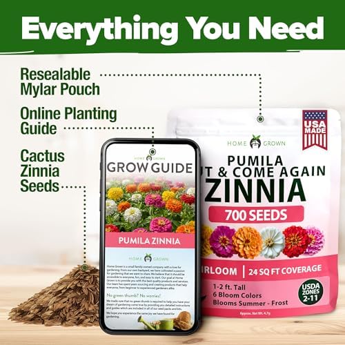 HOME GROWN Pumila Dwarf Zinnia Mix 700 Flower Seeds Zinnia elegans - Image 6