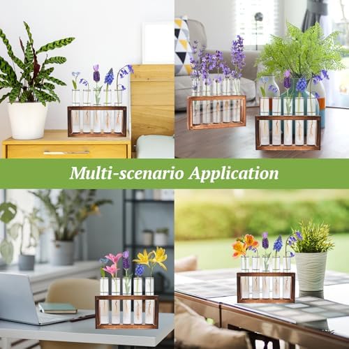 Tigvio 2pcs Desktop Glass Plant Propagation Station (10 Tubes) - Image 4