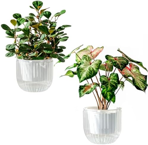 Melphoe Self Watering Pots for Indoor Plants Planter, 6.5 Inch 2 Pack Planters Self Watering Plant Pots for Flower, Houseplants, Succulent, African Violets and Cactus with Drainage by Melphoe