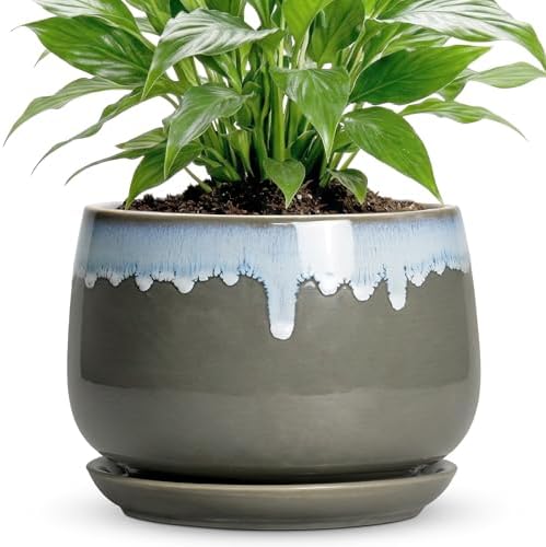 Ceramic Planter, 7 Inch Flower Pots for Indoor Plants, Grey-Blue by Fivepot