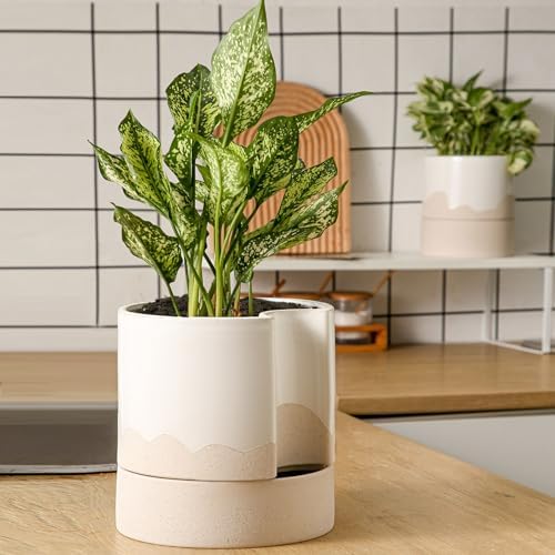 Nihow Ceramic Self Watering Plant Pot for Indoor Plants,8 Inch,White & Wave - Image 6
