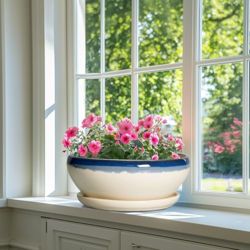 SQOWL Bonsai Tree Pots, 12 Inch Ceramic Succulent Planters, Blue-Beige - Image 6