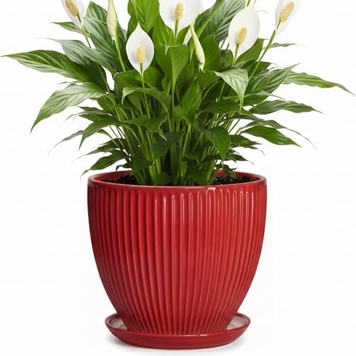 Ceramic Flower Pots 8 Inch, Ceramic Planters for Indoor House Plants, Decorative Plant Pots with Drainage Hole and Saucer, Modern Round Planter, Office Decor, Gifts for Men Women, Red by Unknown