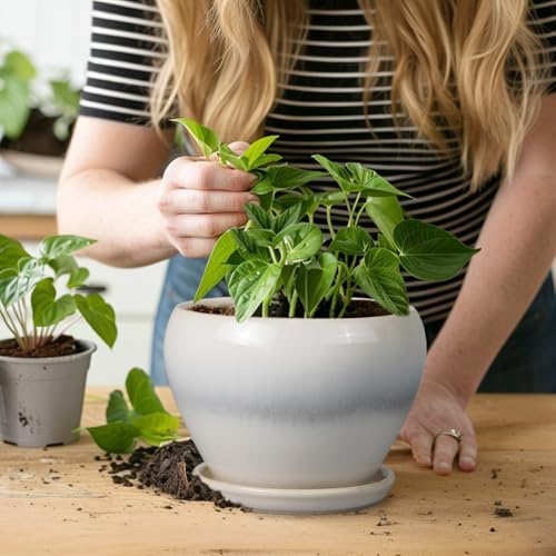Ceramicfor Planter Pot 6 Inch - Ceramic Plant Pot with Drainage Hole and Saucer, Round Glaze Succulent Pot for Plants, White - Image 6