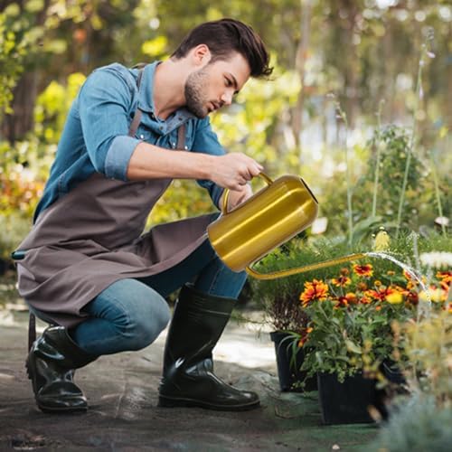 Watering Can Indoor Outdoor Plants, 50oz/1500ml Garden Long Spout Watering Cans, Stainless Steel Plants Watering Can Pot for Indoor House Plants Bonsai Flower Decorative - Image 6