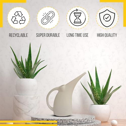 KP KOOL PRODUCTS Watering Can 1/2 Gallon - Small Watering Can for Indoor Plants - Outdoor Watering Can - White Plant Waterer - Plastic Watering Can for Garden - 1 Pack - Image 5