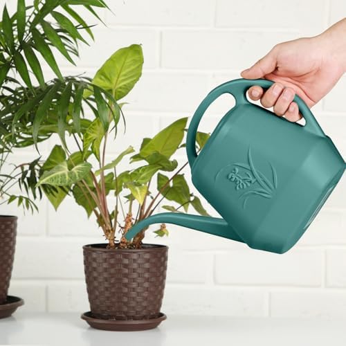 Plastic Watering Can - 1/2 Gallon - Green - Image 6