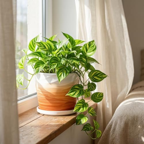 8 Inch Ceramic Plant Pot, Khaki + White - Image 5