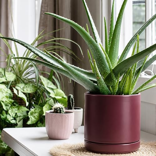 D'vine Dev 8 Inch Ceramic Planter Pot, Cordovan, 94-O-D-4 - Image 5