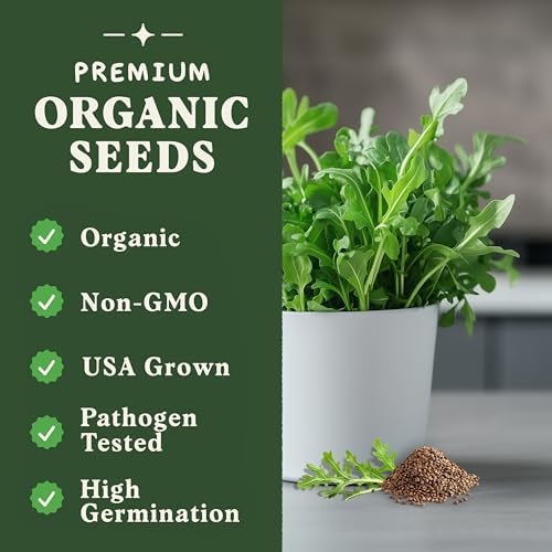 Seedboy Organic Non-GMO Herb Seeds for Planting (Slow Bolt Arugula) - Image 2