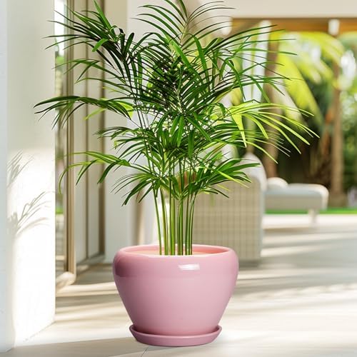 Ceramicfor Ceramic Modern Glaze Succulent Planter Pot with Drainage Hole and Saucer 8 Inch Round Flower Plant Pot for Indoor Outdoor Herb Snake Plants, Pink - Image 4