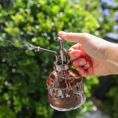OFFIDIX Glass Plant Mister, Spray Bottle with Vintage Bronze Plastic Pump - Image 3