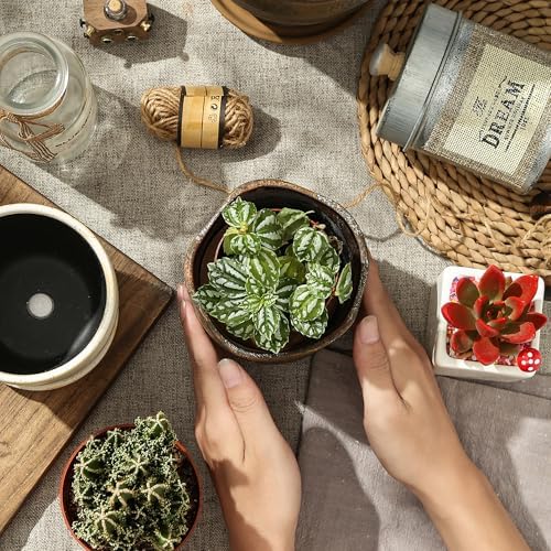 4+6 Inch Ceramic Planter Set of 2 with Drainage Hole and Saucer for Plants, Indoor-Outdoor Large Irregular Succulent Orchid Flower Pot- Cement Paint, Inner-pots not Larger Than 5 Inch - Image 5