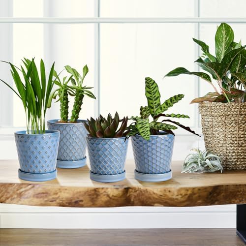 EFISPSS Plant Pots,5 Inch Pots for Indoor Plants,Planters with Drainage Hole and Saucer, Ceramic Flower Pots Desktop Office Windowsill Decoration Gift Set of 4 - Sky Blue - Image 5