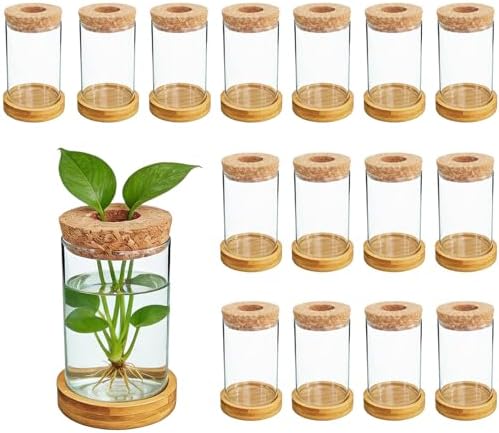 16 Pcs Propagation Vases with Bamboo Stand and Hole Lid, Glass Plant Propagation for Plants Water Hydroponic Desktop Office Home Vase Decoration(Classic Style) by ENIPEDITA
