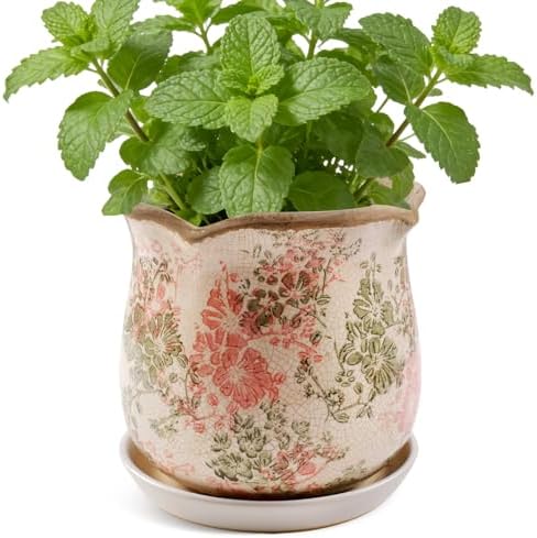 Ceramic-Planters-for-Indoor-Plants with Saucer, 6 inch Vintage Ice Crackle Glaze Plant Pots with Drainage Holes, Decorative Flower Pots for Outdoor Garden Home Decor, Tuscan Pot for Plant by Xoogifae