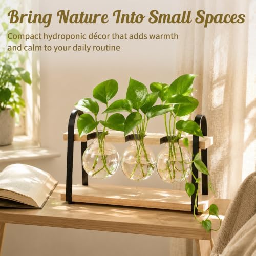 3-Bulb Plant Propagation Station, Glass Vase Terrarium, Retro White - Image 4
