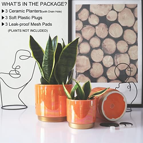 Gepege Ceramic Plant Pots for Indoor Plants, Planters with Drainage Holes - Image 3