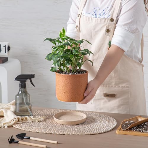 5.8 Inch Ceramic Plant Pot with Drainage Hole & Separate Saucer - Image 2